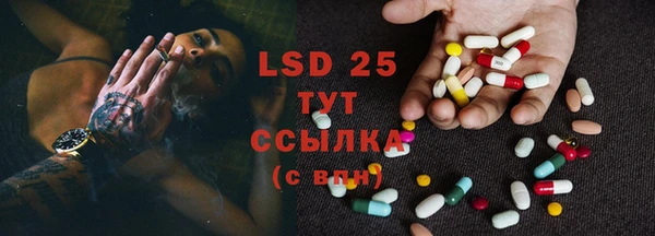 дживик Няндома