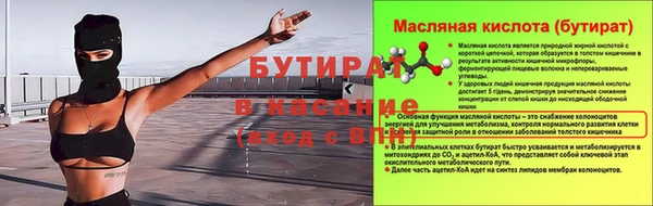 дживик Няндома