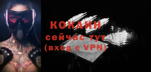дживик Няндома