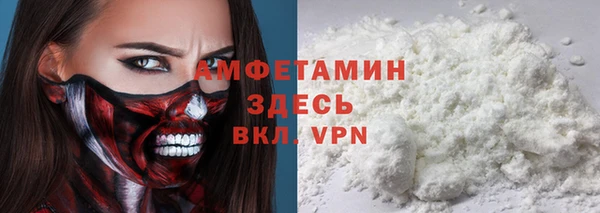 дживик Няндома
