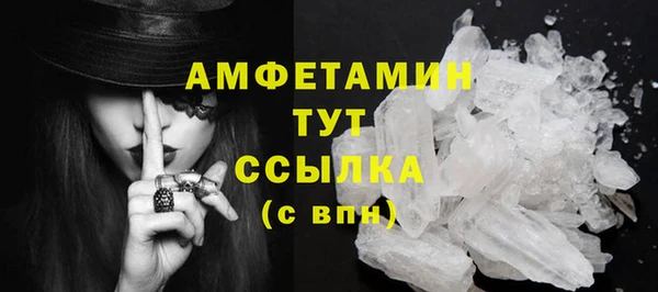 дживик Няндома