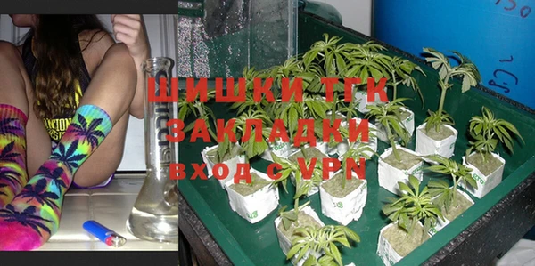 дживик Няндома