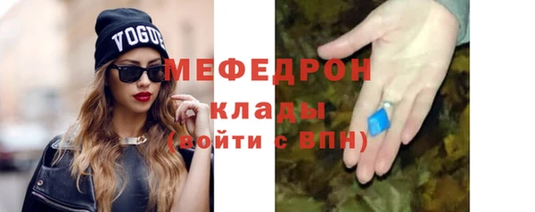 дживик Няндома
