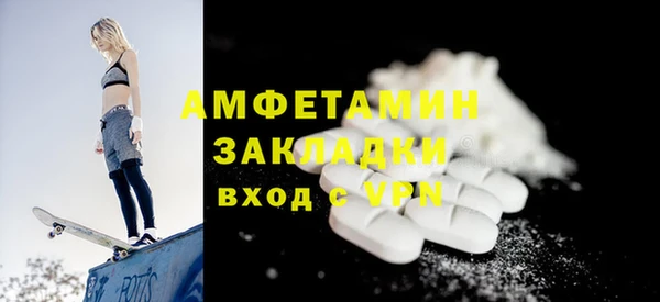 дживик Няндома