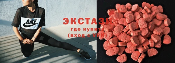 дживик Няндома