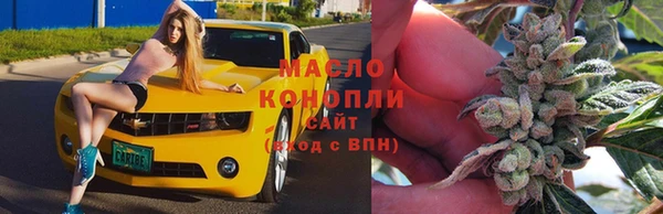 дживик Няндома