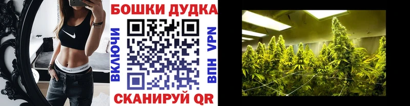 Купить закладки  Кущёвская  Шишки марихуана тримм 